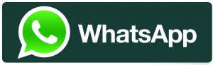logo-whatsapp_600x184